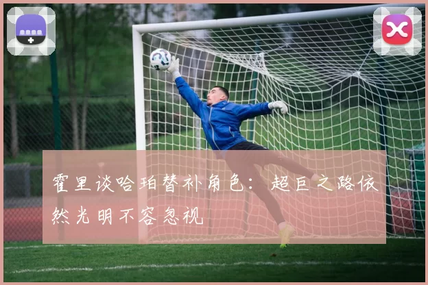 霍里谈哈珀替补角色：超巨之路依然光明不容忽视
