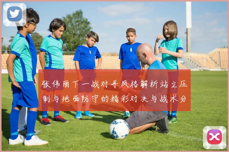张伟丽下一战对手风格解析站立压制与地面防守的精彩对决与战术分析